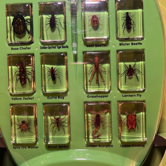 Real Bugs Discovery Kit NIB ages 3+ science explore educational - Picture 2 of 3